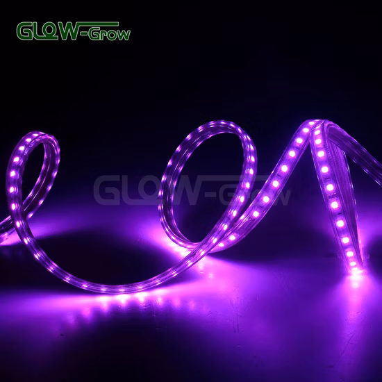 Wholesale Waterproof Bluetooth SMD 5050 RGB LED Strip Lights for Home Room Christmas Decoration 5m/10m/15m/20m