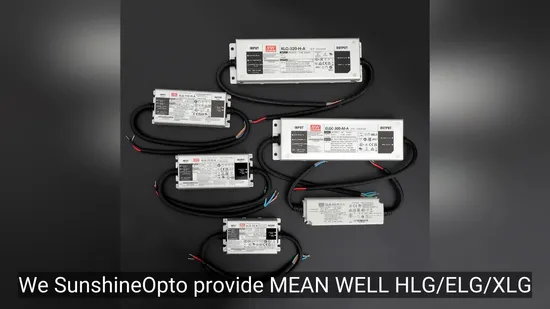 100W 200W 300W 600W 1000W LED Lamp Meanwell Power Supply 12V 24V 