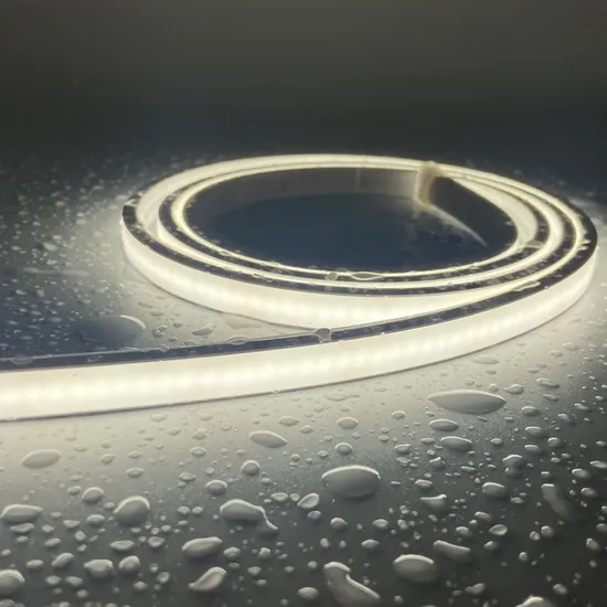 IP68 Neon Strip Flat Super Slim LED Neon Light for Outdoor Lighting 